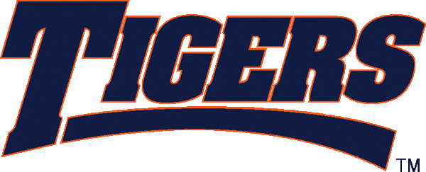 Auburn Tigers 1998-2005 Wordmark Logo Iron On Transfer